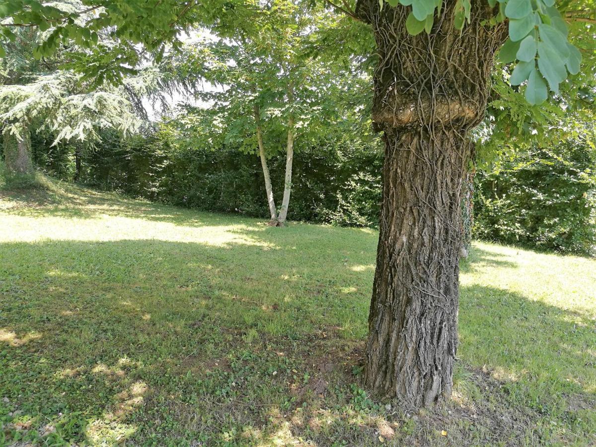 Douceur En Campagne Apartment Espalion Exterior photo